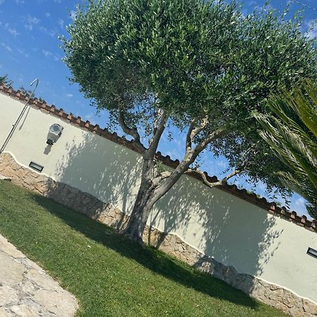 Vila Gold House Luxury Anzio Exteriér fotografie