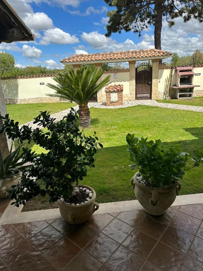 Vila Gold House Luxury Anzio Exteriér fotografie