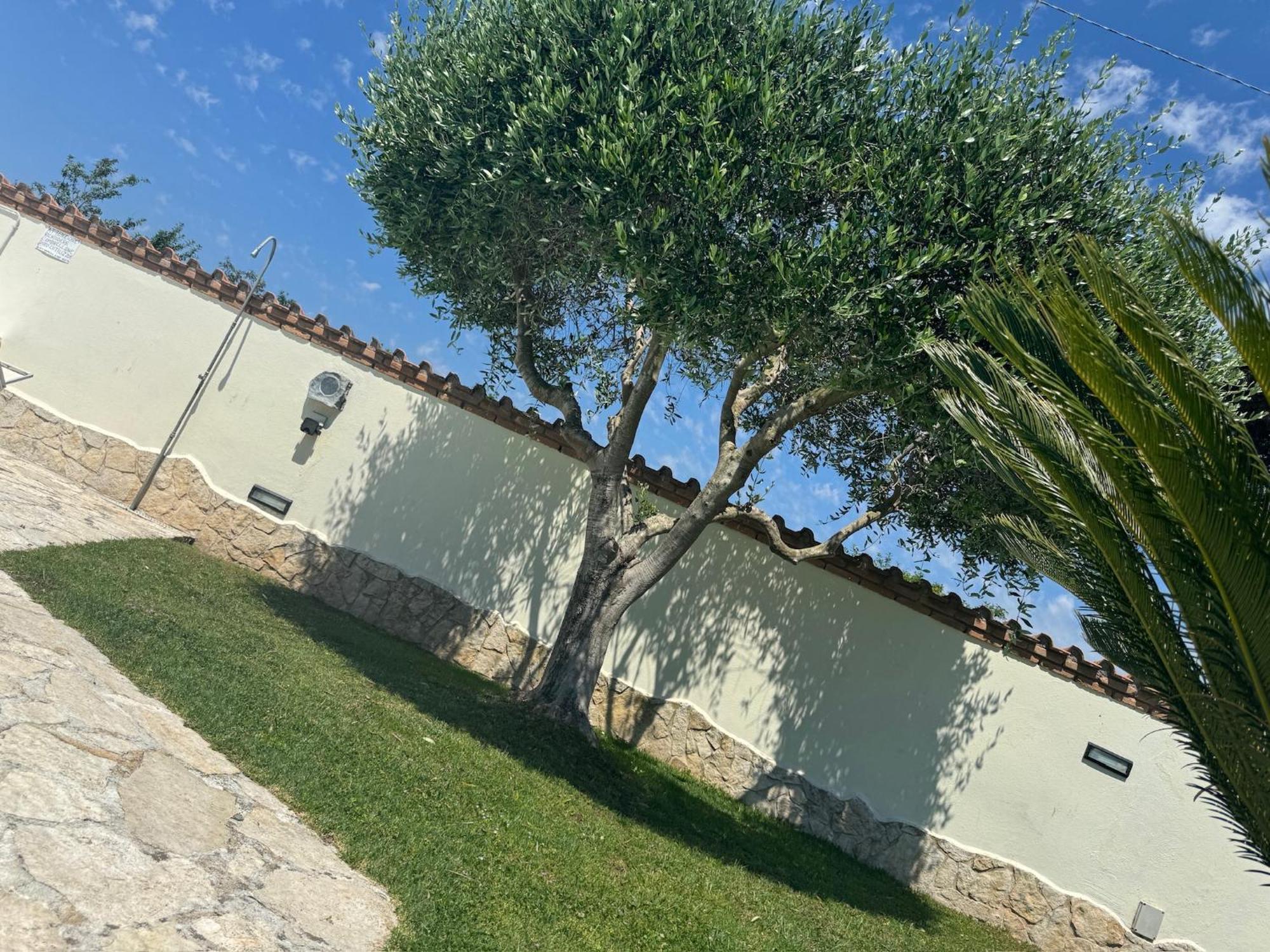 Vila Gold House Luxury Anzio Exteriér fotografie